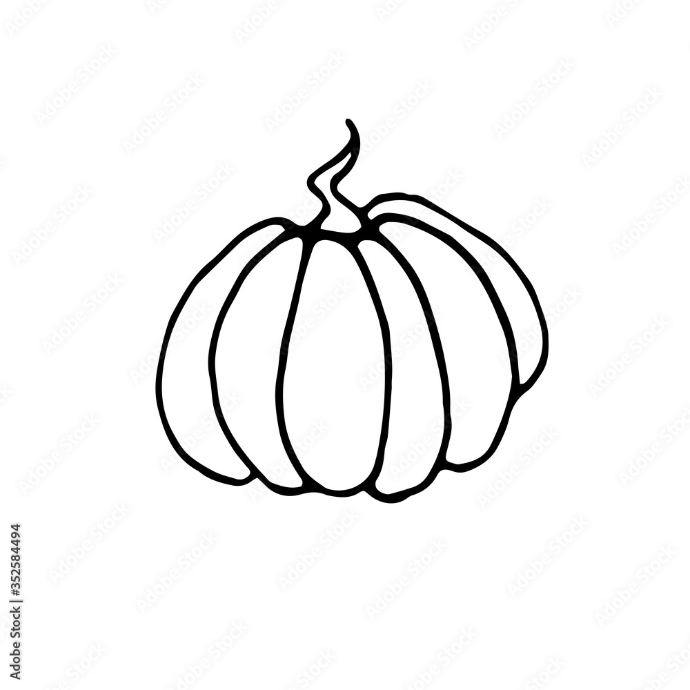Pumpkin icon in sketch style isolated on white background. Outline doodle. Symbol autumn, crop, fruitful year. Hand drawn vector EPS10 illustration Pumpkin icon in sketch style isolated on white background. Outline doodle. Symbol autumn, crop, fruitful year. Hand drawn vector EPS10 illustration