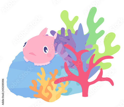 珊瑚に乗ったフウセンウオのイラスト