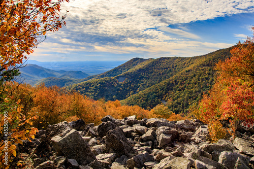 Fototapeta Naklejka Na Ścianę i Meble -  Fall Mountains and Trees along Blackrock Summit Trail in Shenandoah Park, Virginia