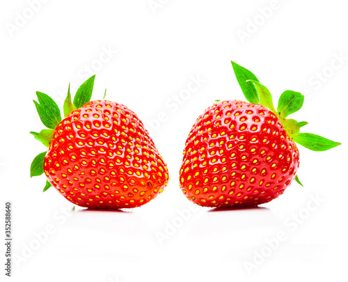 Erntefrische Erdbeeren isoliert auf weissem Hintergrund