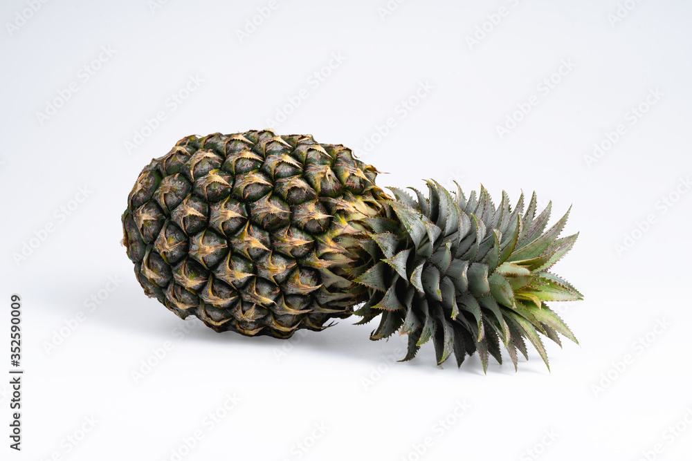 Whole fresh pineapple fruit on white background Whole fresh pineapple fruit on white background