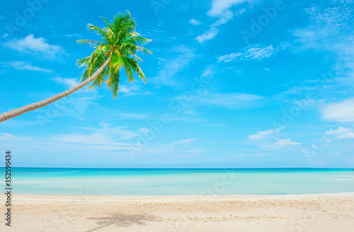 Fototapeta Naklejka Na Ścianę i Meble -  Beautiful beach. View of nice tropical beach with palms around. Holiday and vacation concept. Tropical beach.