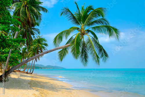 Beautiful beach. View of nice tropical beach with palms around. Holiday and vacation concept. Tropical beach. © Andrii Vergeles