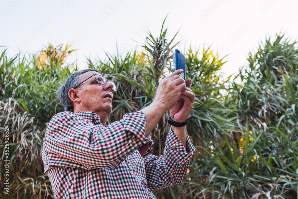 Man in the field taking photos with his mobile phone in spring. Selective focus. Man in the field taking photos with his mobile phone in spring. Selective focus.