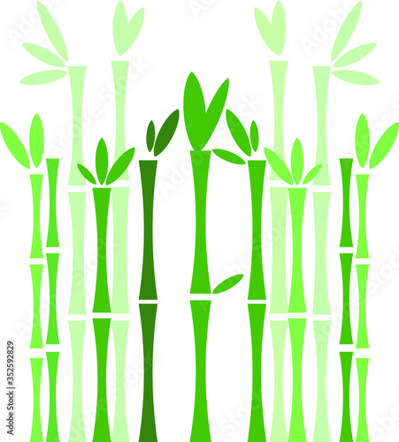 bamboo vector illustration