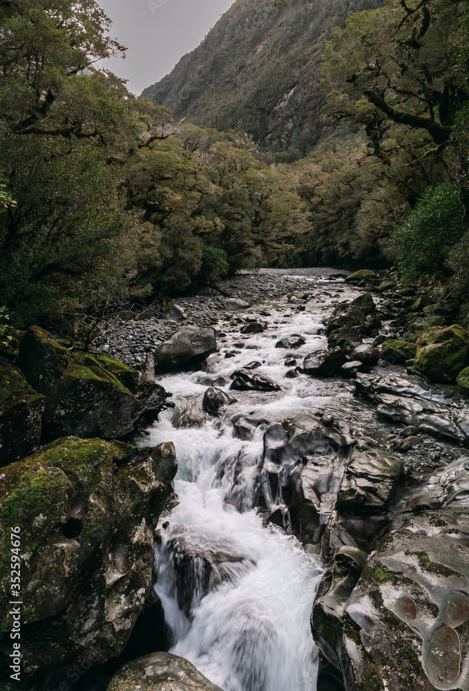 Obraz premium Milford Sound in New Zealand