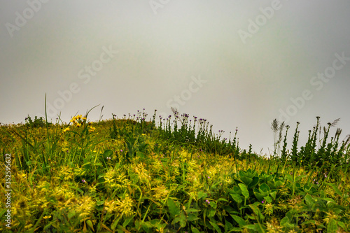 mountain with green grass and thick clouds photo