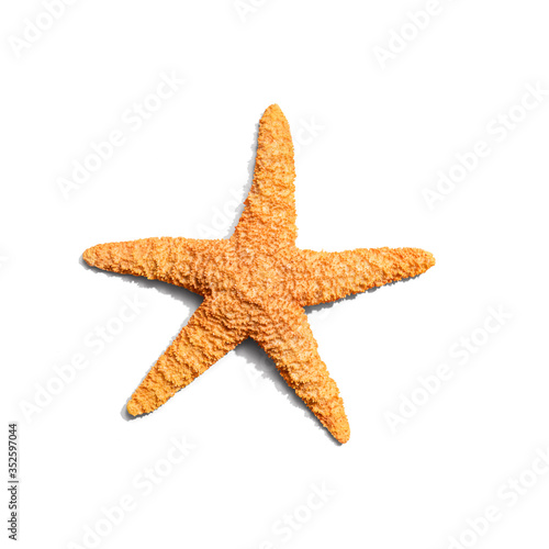 Summer concept with starfish overhead view - flatlay