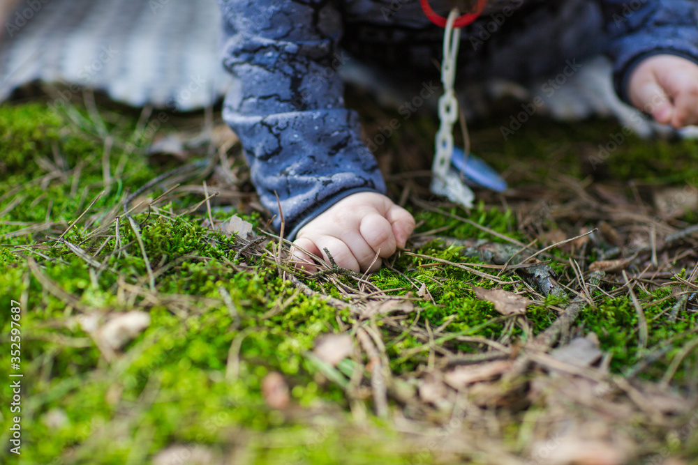 hand of a one-year-old child in the woods on moss. little hand and nature. take care of nature for children hand of a one-year-old child in the woods on moss. little hand and nature. take care of nature for children