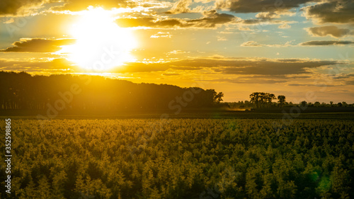 Sunset on the field in Ukraine
