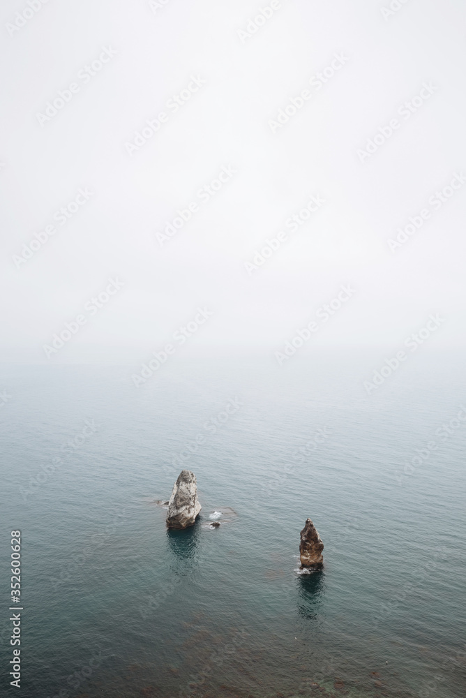 Fototapeta premium Rocks stick out of the sea. Seascape with fog