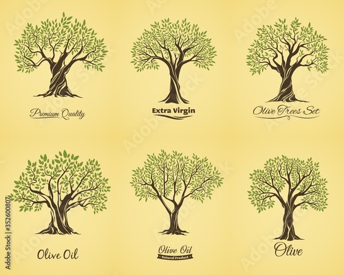 Olive trees silhouette with green leaves on branches, isolated vector icons set. Olive oil extraction plant emblems. Natural oil production shop, food store badges, green olive tree symbols