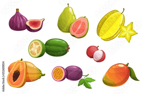 Tropical fruits, vector fig, carambola and papaya, mango, guava and passion fruit, feijoa and lychee. Exotic tropic fresh fruits assortment, orchard, farm market production isolated cartoon icons set