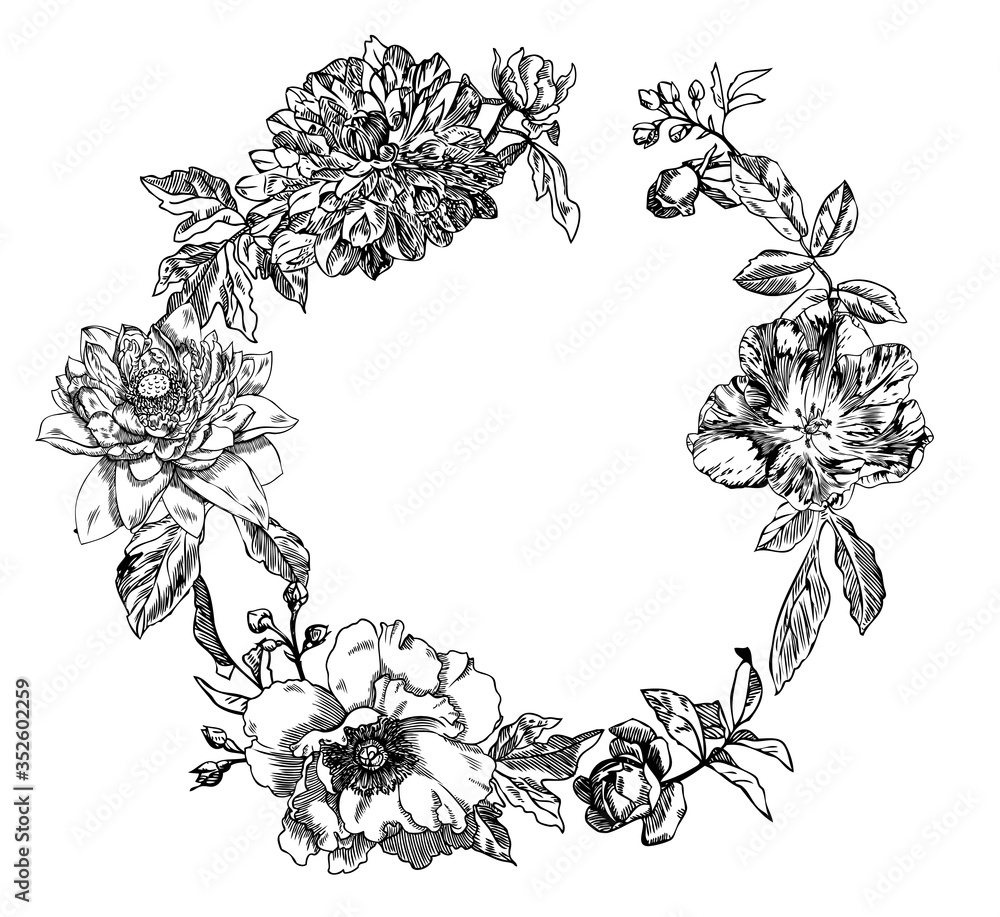 Rose, peony, lotus; dahlia and tulip hand-drawn engraving illustration.