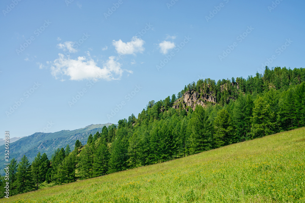 Beautiful view to green forest hill with rock and great mountain range. Awesome minimalist alpine landscape. Wonderful vivid scenery with hillside with crag and forest. Scenic nature of highlands. Beautiful view to green forest hill with rock and great mountain range. Awesome minimalist alpine landscape. Wonderful vivid scenery with hillside with crag and forest. Scenic nature of highlands.