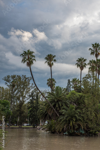 palmeras sobre lago de agua marron © Ian