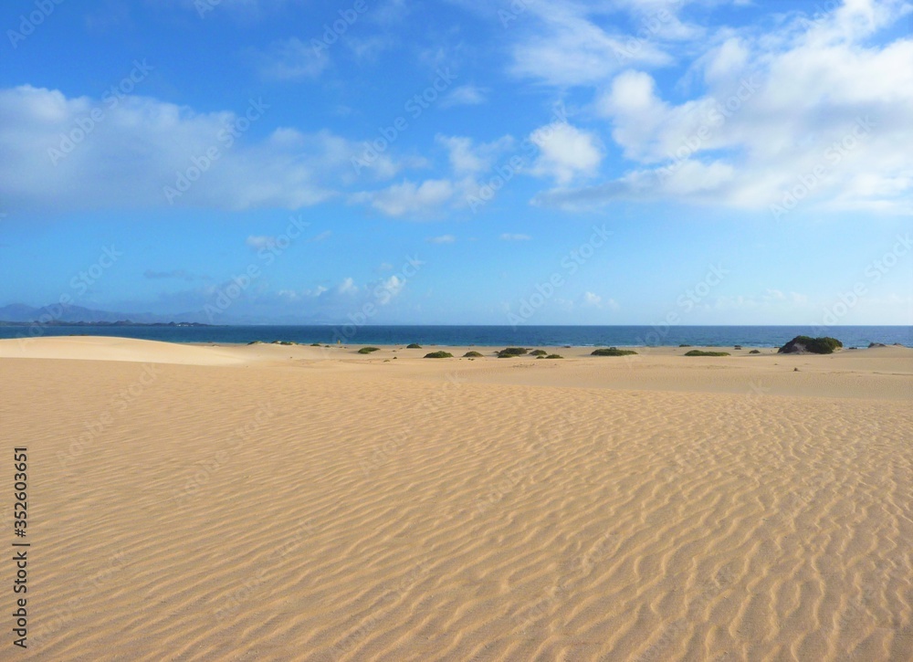 sand beach and blue sky sand beach and blue sky