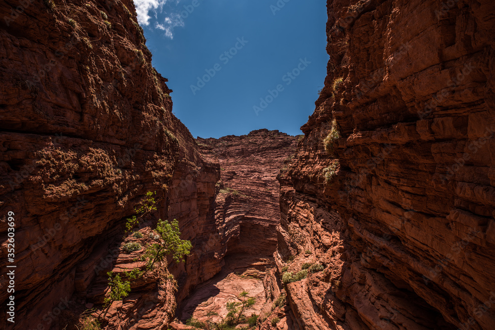 atracciones turisticas del norte argentino en los valles calchaquies entre salta y tucuman