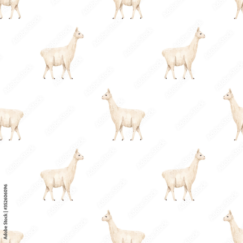 Watercolor hand drawn seamless pattern with white llama isolated on white background. Trendy light minimalistic design for textile, wrapping paper, wallpaper etc.