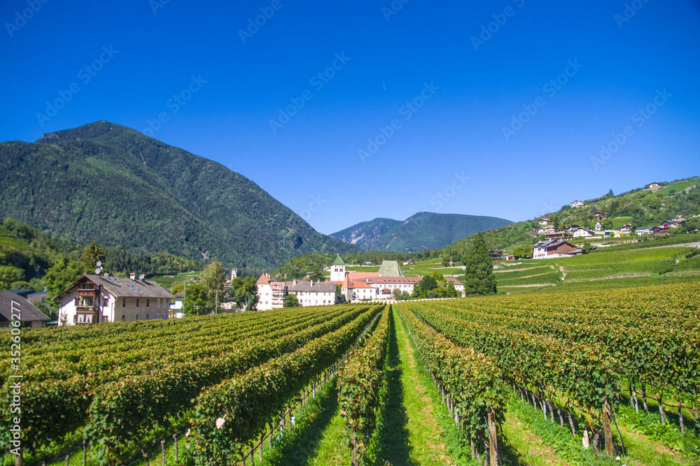 splendid vineyards of the abbey of novacella with ancient alpine monastery, producer of delicious wines