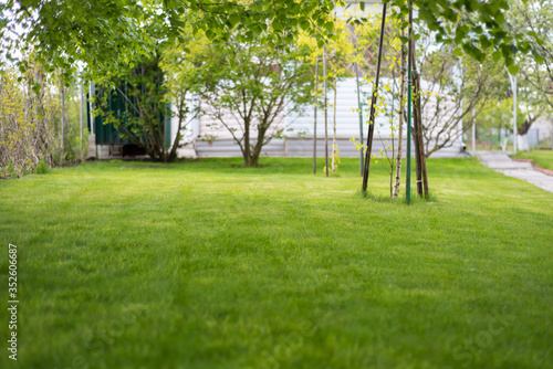 Fototapeta Naklejka Na Ścianę i Meble -  a lush green lawn with a house in the background