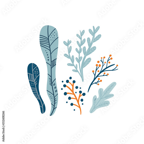 Summer, Beach, Shell, Seaweed, doodle isolated on a white background. Hand draw cartoon Scandinavian nordic design style for fashion or interior or cover or textile or background. © KozyPlace