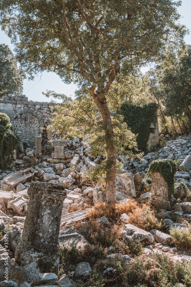Termessos ancient city. Termessos is one of Antalya -Turkey's most outstanding archaeological sites. Termessos ancient city the amphitheatre. Turkey Termessos ancient city. Termessos is one of Antalya -Turkey's most outstanding archaeological sites. Termessos ancient city the amphitheatre. Turkey