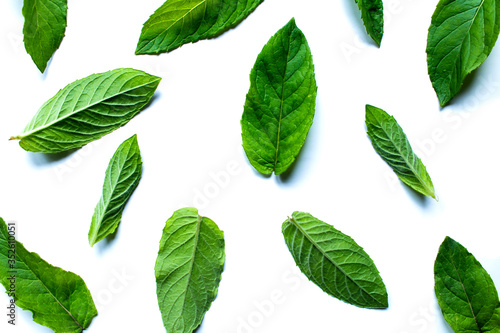 Collection of fresh mint leaves isolated on white background. © Александр Клюйко