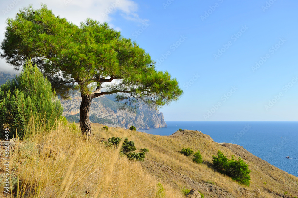 Obraz premium Window pictures with trees mountains and black sea in Crimea