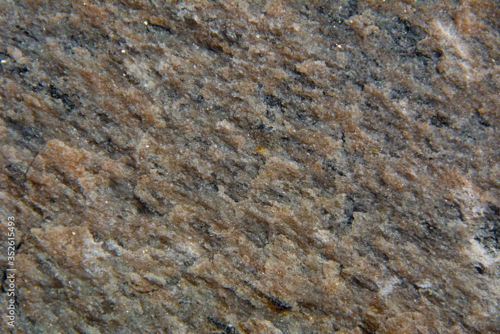 Pierre naturelle à jolie texture Pierre naturelle à jolie texture