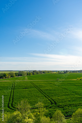 Amazing landscape view from the top of mountain. Forest and green fields. © nikwaller