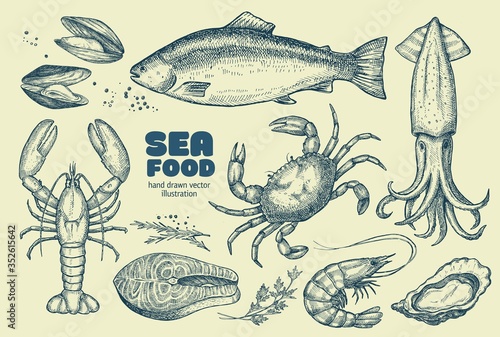 Sea food. A set of illustrations for the design of the menu of restaurants, and shop windows of fish shops.