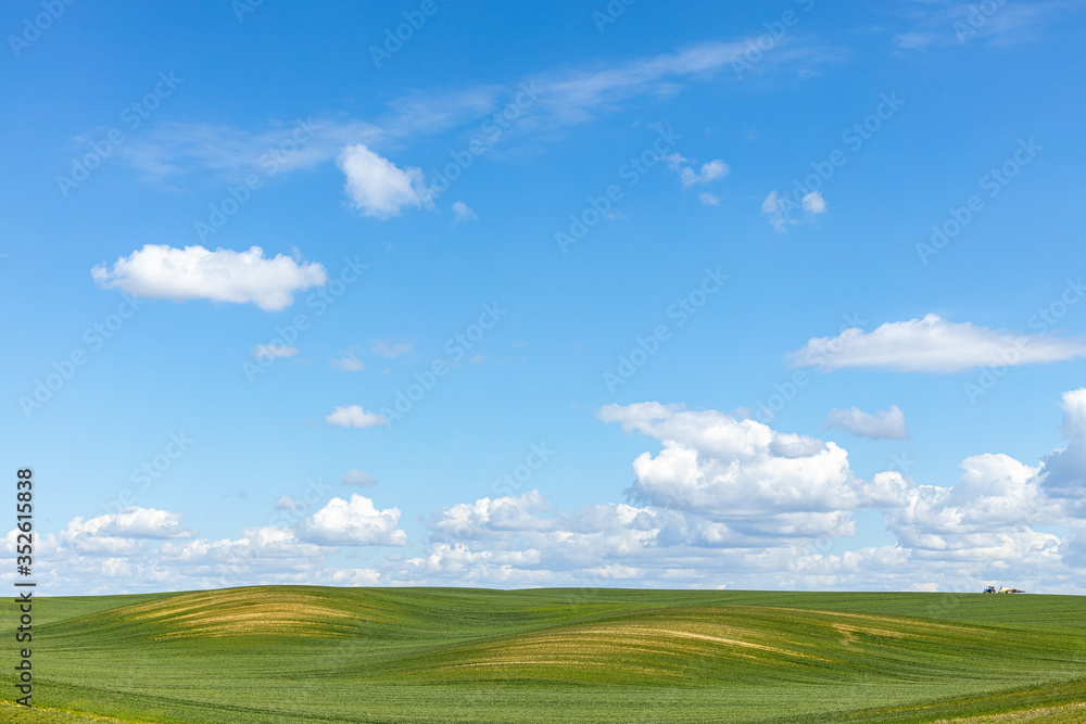 Green grass with small hills field and blue sky with clouds Green grass with small hills field and blue sky with clouds