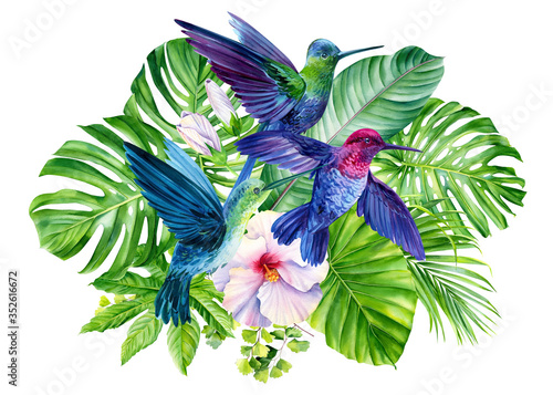 watercolor composition with hummingbirds and tropical plants, green leaves, hibiscus on an isolated white background, hand drawing