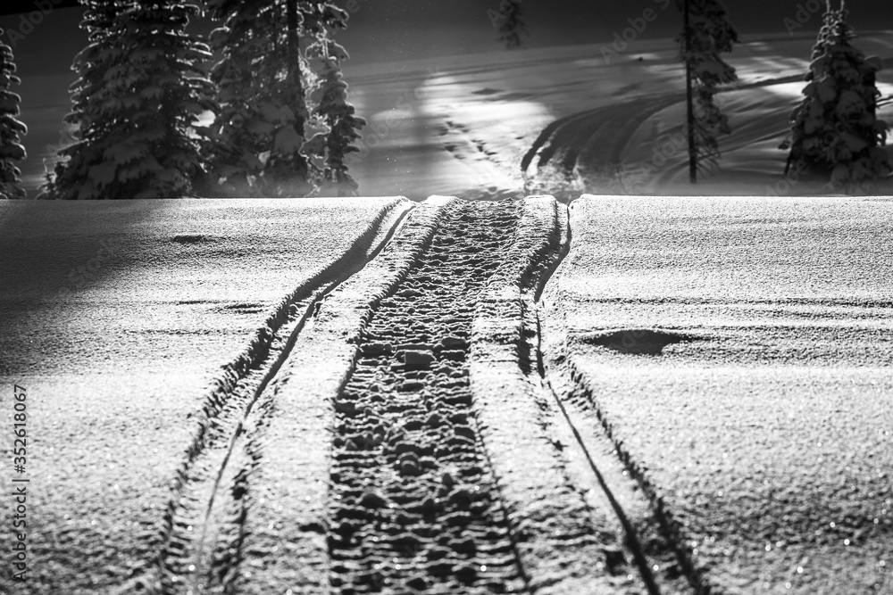 View of  tracks in the snow, Sun Peaks Resort, Sun Peaks, British Columbia, Canada
