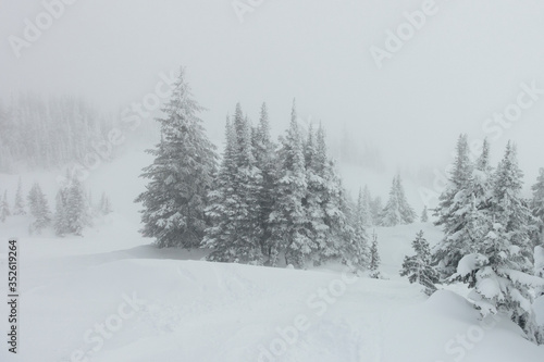 Scenic view of snow covered mountainside at ski resort, Sun Peaks Resort, Sun Peaks, British Columbia, Canada © klevit
