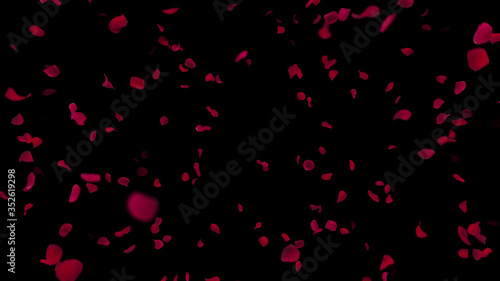 Rose Petals Flower fluttering 3D illustration background