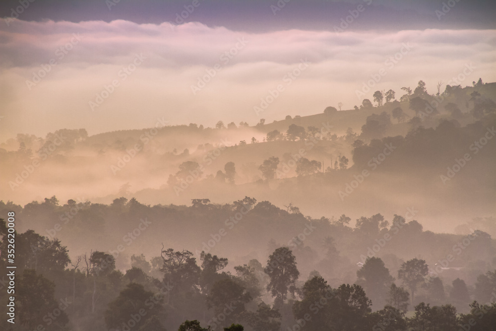 custom made wallpaper toronto digitalfog morning in the mountain
