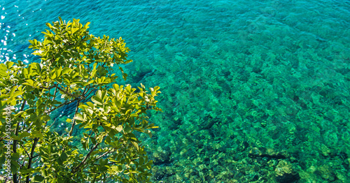 Scenic Turquoise Sea Shore