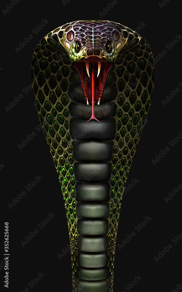 3d Illustration King Cobra The World's Longest Venomous Snake Isolated on  Black Background, King Cobra Snake, 3d Rendering Stock Photo - Alamy