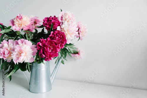 pink flowers. Curly peony ranunculus in Metallic gray watering can empty space