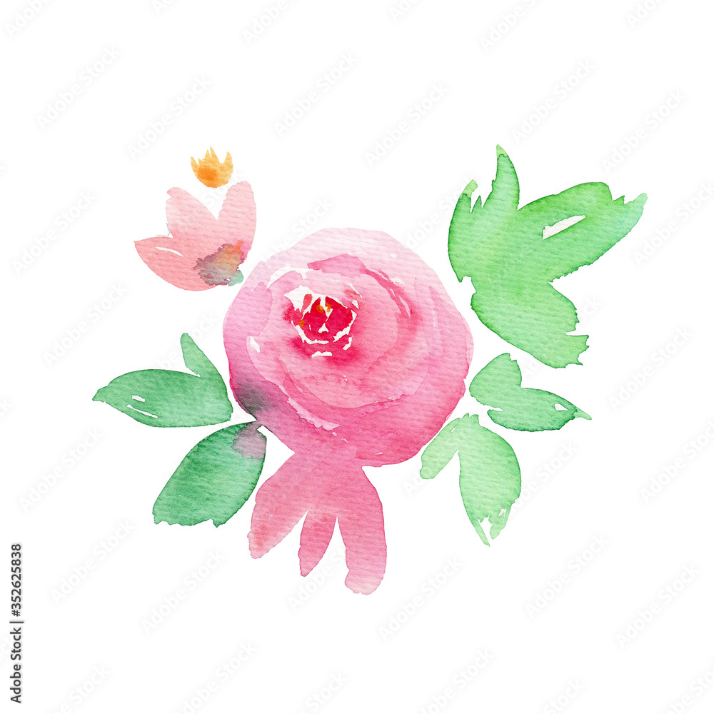 Pink rose. Hand drawing boho watercolor floral illustration with flowers, branches, leaves.