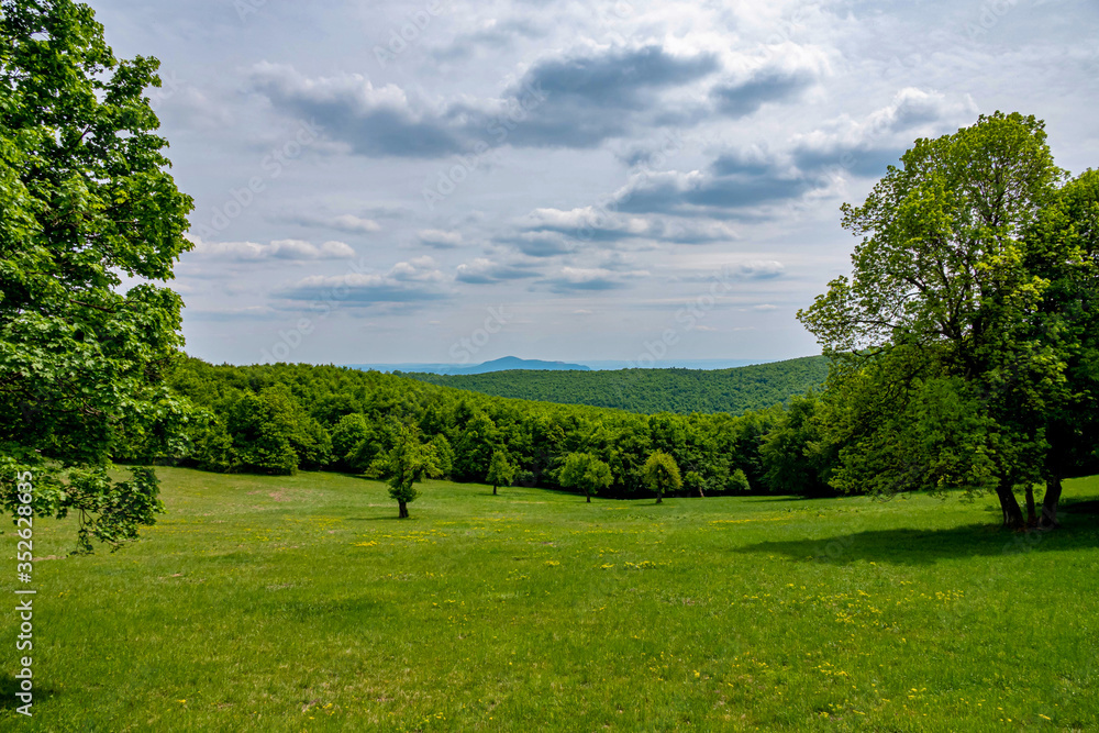 Green hills and cludy sky at spring