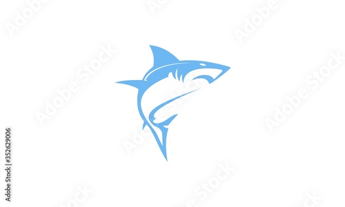 shark  fish  ocean  sea  underwater  blue  water  animal  white  reef  isolated  grey  sharks  predator  marine  dolphin  nature  swimming  fin  wildlife  danger  tropical  swim  life  illustration