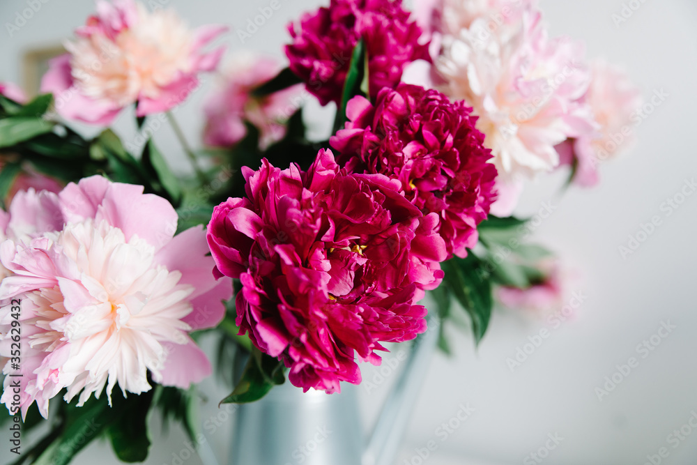 pink flowers. Curly peony ranunculus in Metallic gray watering can,empty space