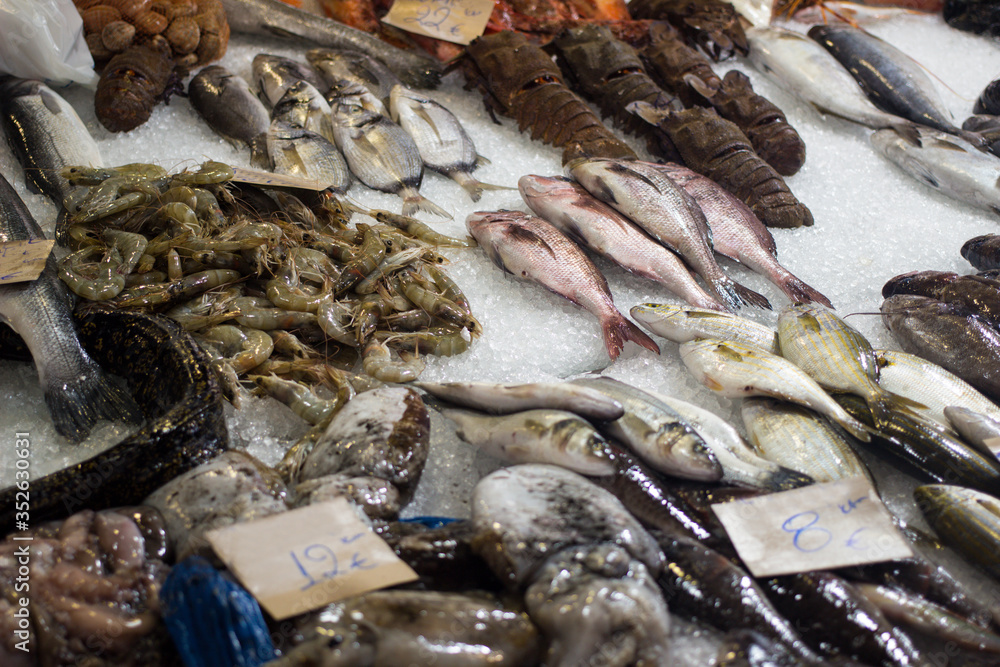 Fresh mediterranean seafood on ice at fish market, shop. Top down view on multiple rows of various raw freshly caught fish on ice for sale at Kerkyra