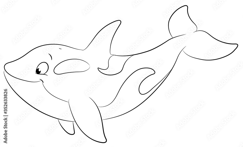 Niedlicher Orca - Vektor-Illustration Niedlicher Orca - Vektor-Illustration
