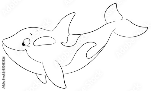 Niedlicher Orca - Vektor-Illustration