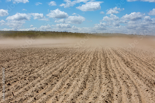 wind with dust over dried field after several days without rains