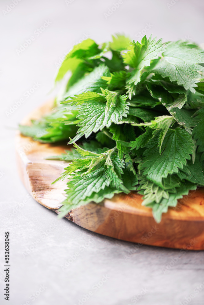 Stinging nettles, urtica. Green nettle leaves in wooden pot on grey background. Alternative herbal medicine. Skin allergy care. Naturopathy, holistic concept Stinging nettles, urtica. Green nettle leaves in wooden pot on grey background. Alternative herbal medicine. Skin allergy care. Naturopathy, holistic concept